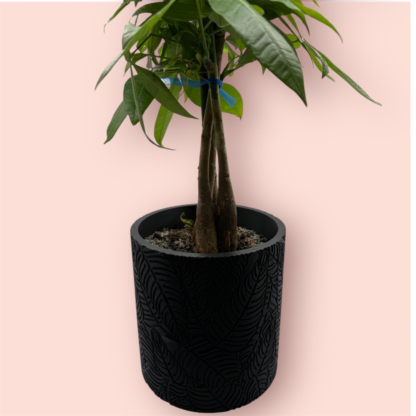 Palm Planter with hidden drip try